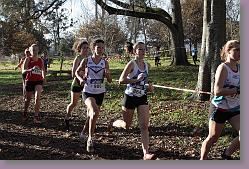 Begles 15.12.13 01 725 * 679 x 453 * (200KB)